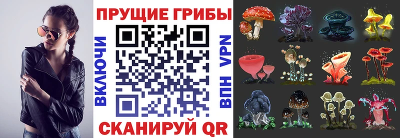 Псилоцибиновые грибы MAGIC MUSHROOMS  MEGA ссылка  Ейск 